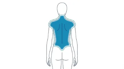 Diagram for Full back
