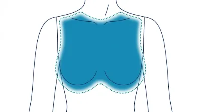 Diagram for Full chest