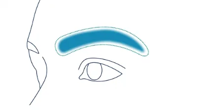 Diagram for Eyebrows