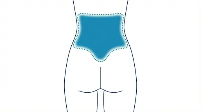 Diagram for Lower back